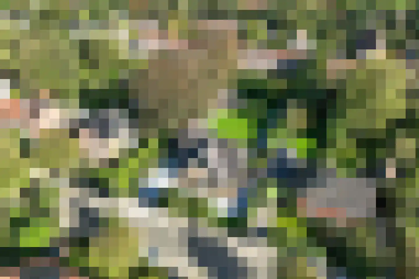 Spoorlaan 75 Hollandsche Rading thumbnail 68