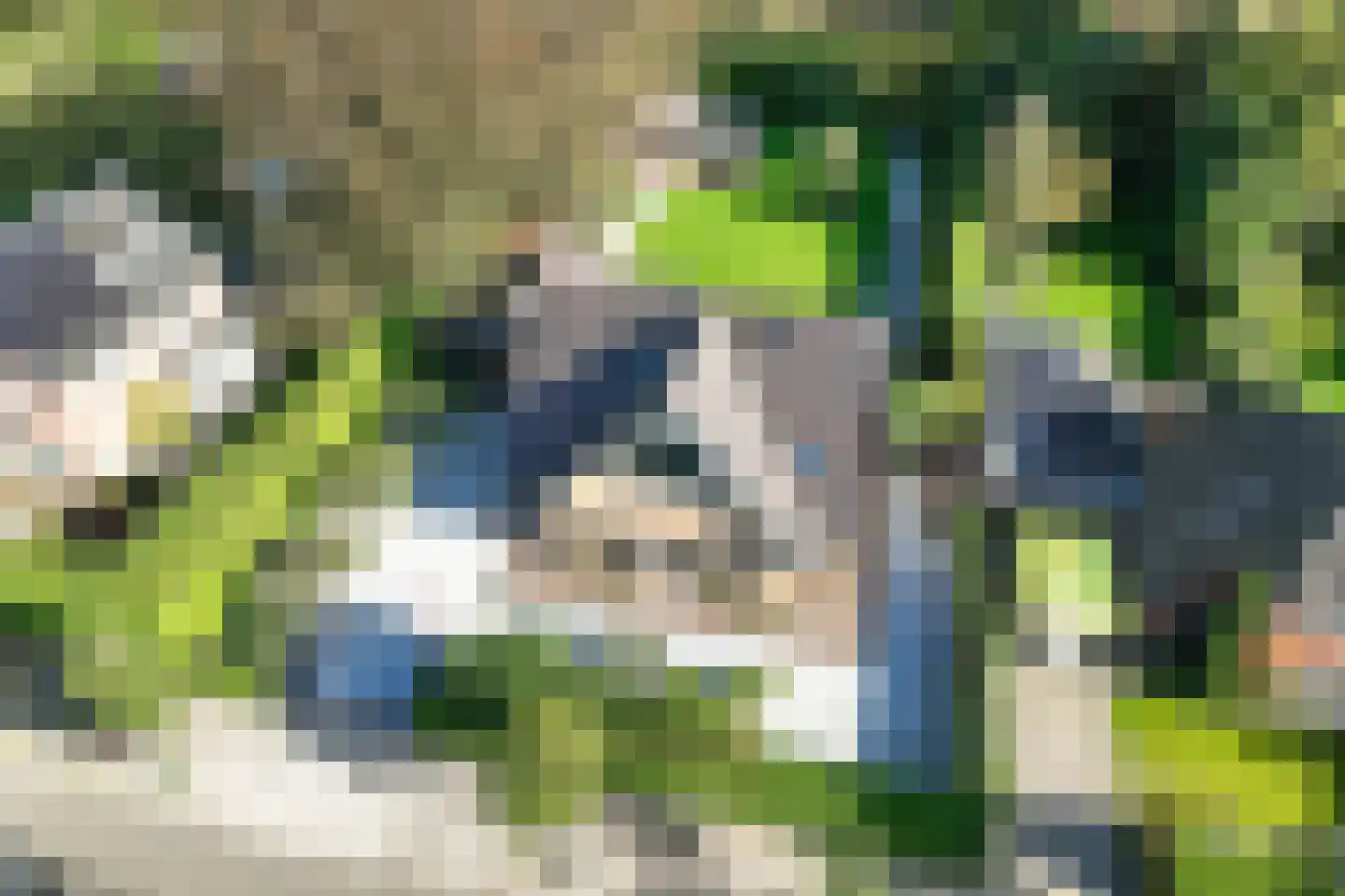 Spoorlaan 75 Hollandsche Rading thumbnail 69