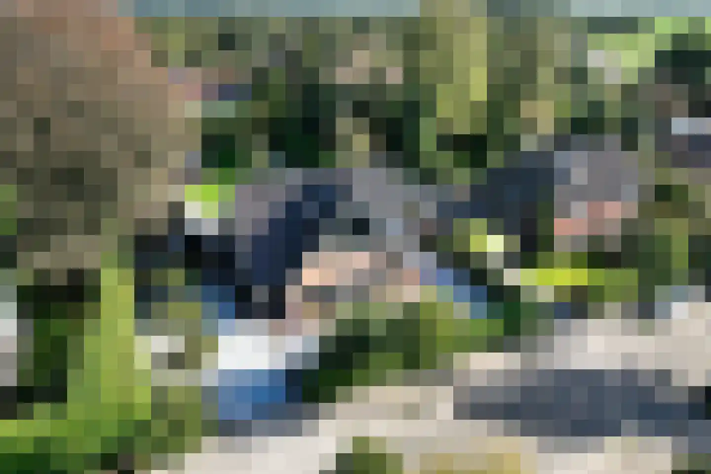 Spoorlaan 75 Hollandsche Rading thumbnail 70