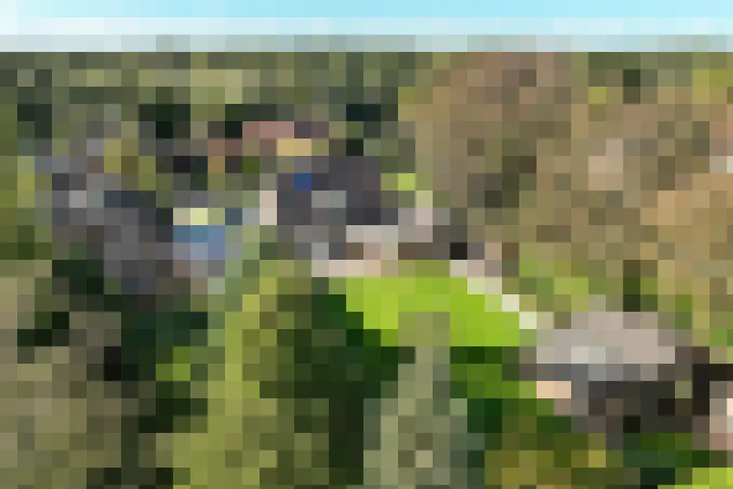 Spoorlaan 75 Hollandsche Rading thumbnail 72