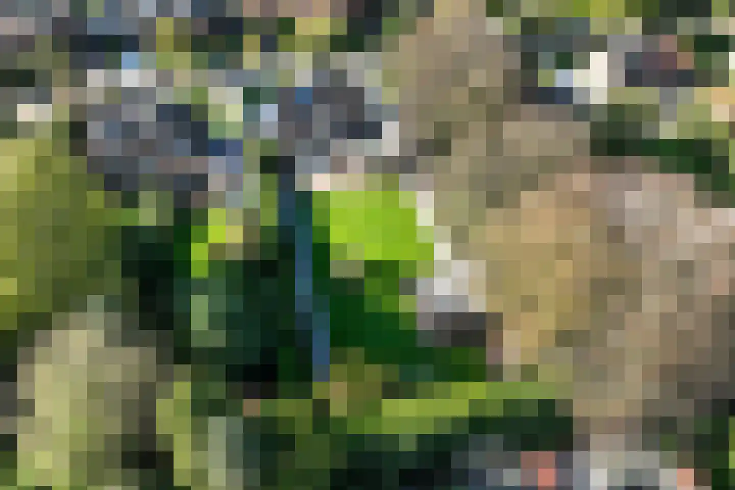 Spoorlaan 75 Hollandsche Rading thumbnail 73