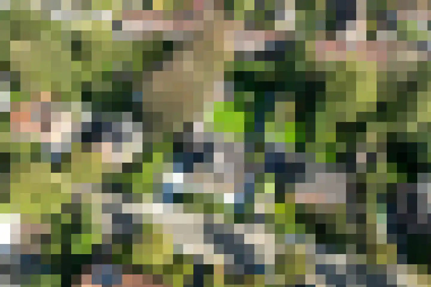 Spoorlaan 75 Hollandsche Rading thumbnail 74