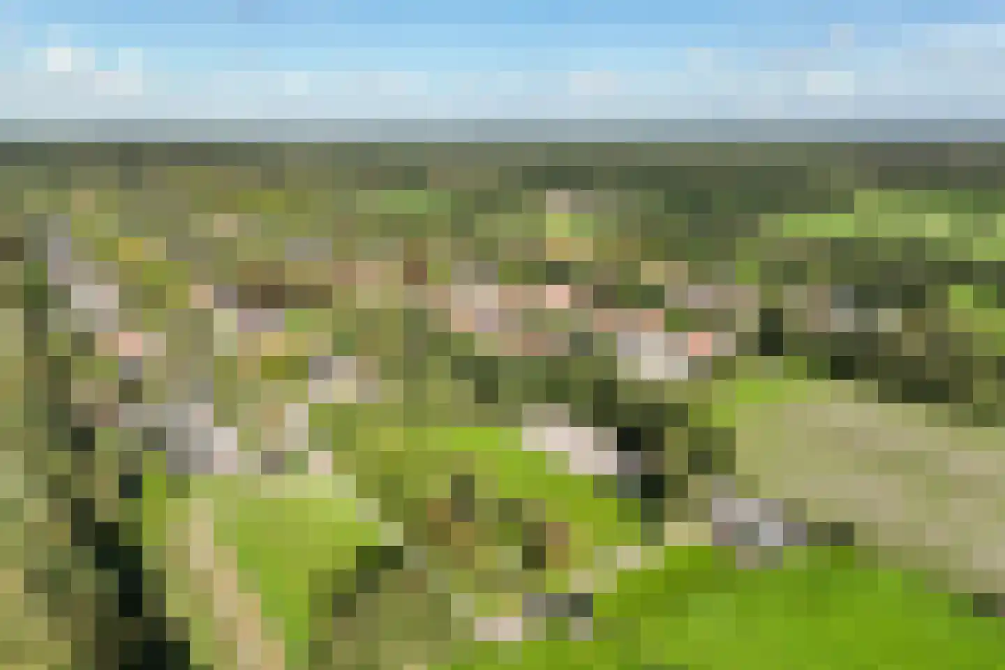 Spoorlaan 75 Hollandsche Rading thumbnail 75