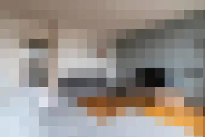 Spoorlaan 79 Veenendaal thumbnail 8