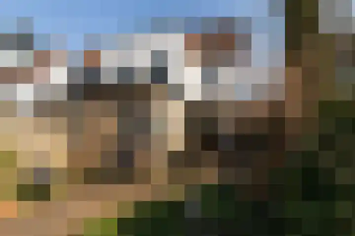 Spoorlaan 8 Bussum thumbnail 28