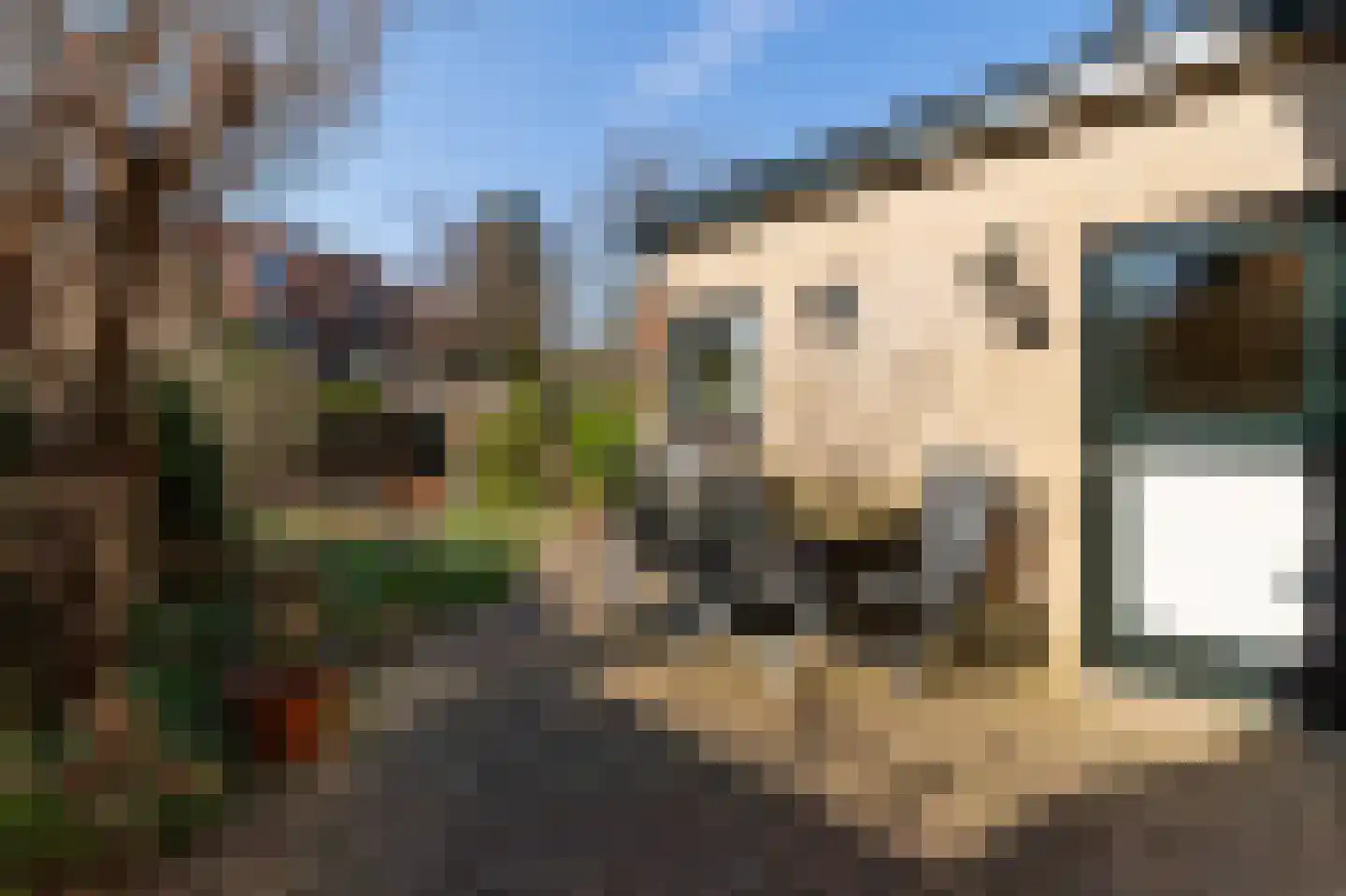 Spoorlaan 8 Bussum thumbnail 30