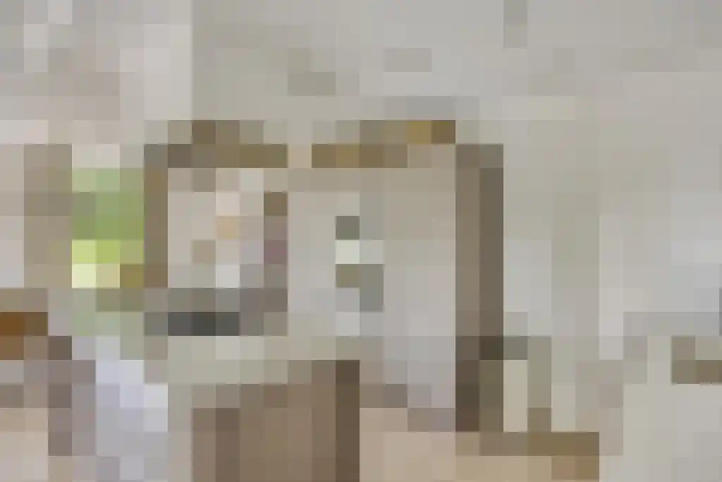 Spoorlaan 80 Abcoude thumbnail 17