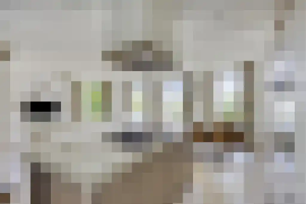 Spoorlaan 80 Abcoude thumbnail 19