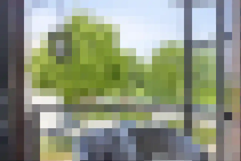 Spoorlaan 80 Abcoude thumbnail 30