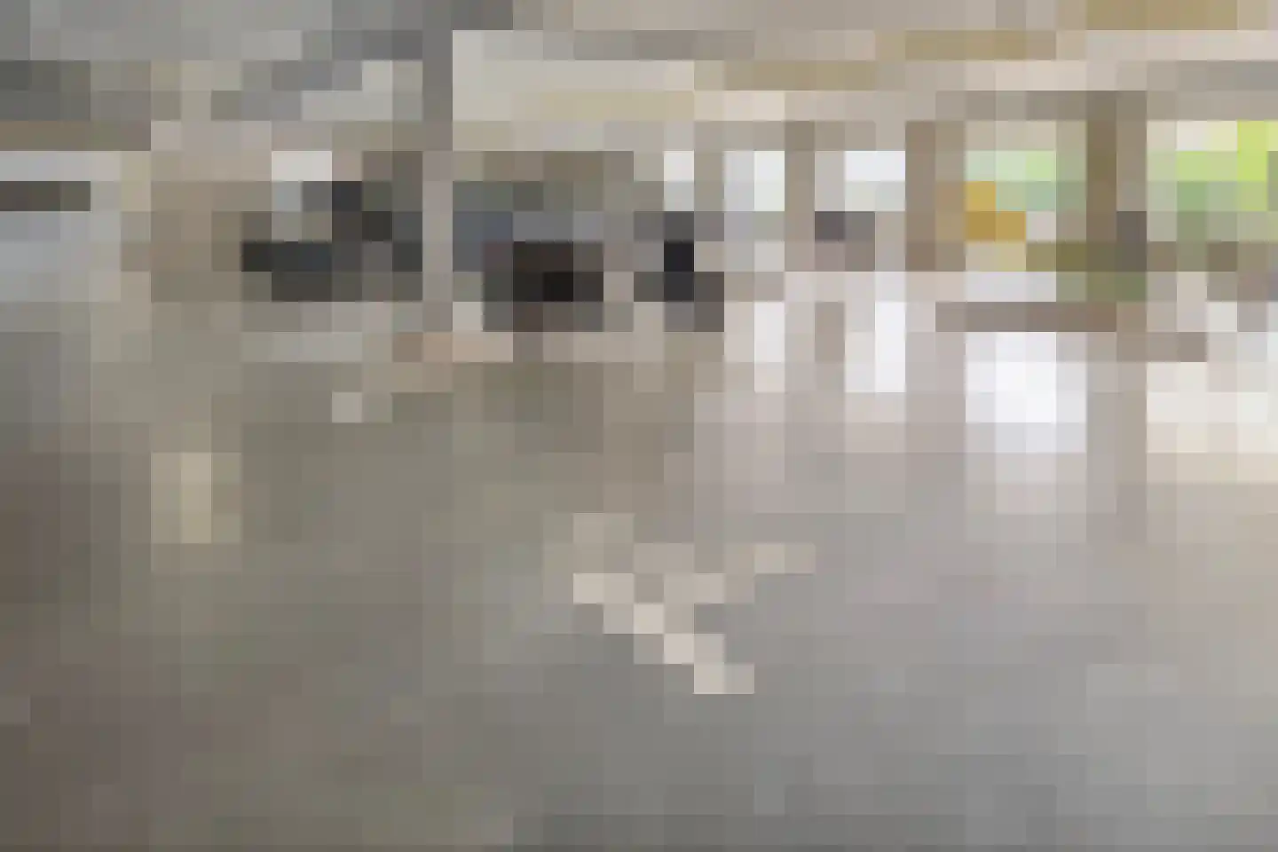 Spoorlaan 80 Abcoude thumbnail 36