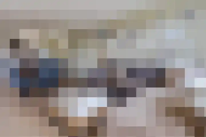 Spoorlaan 81 Abcoude thumbnail 6