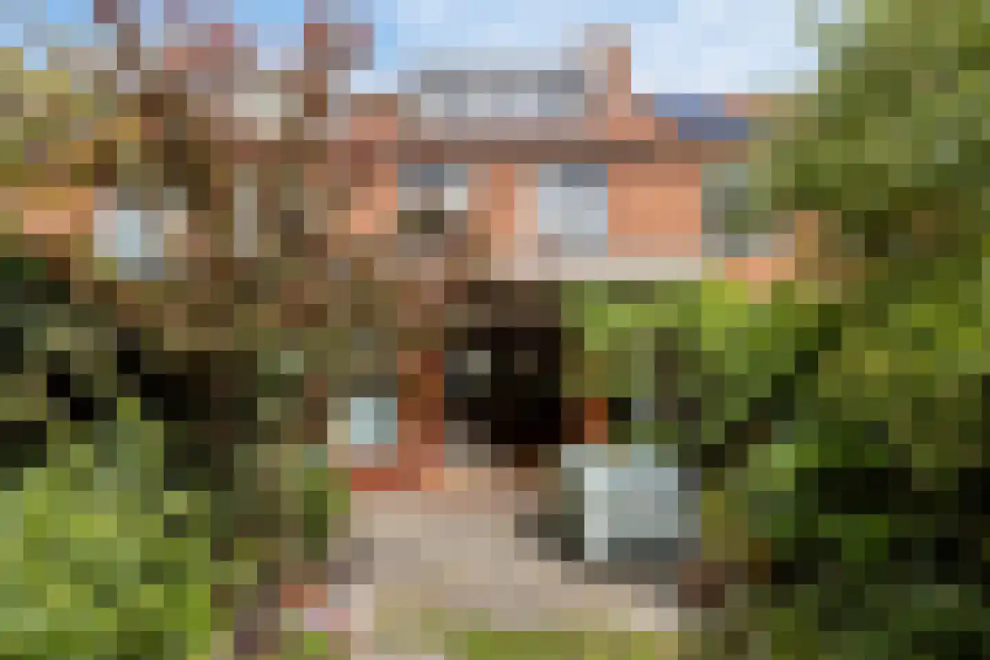 Spoorlaan 82 Leiden
