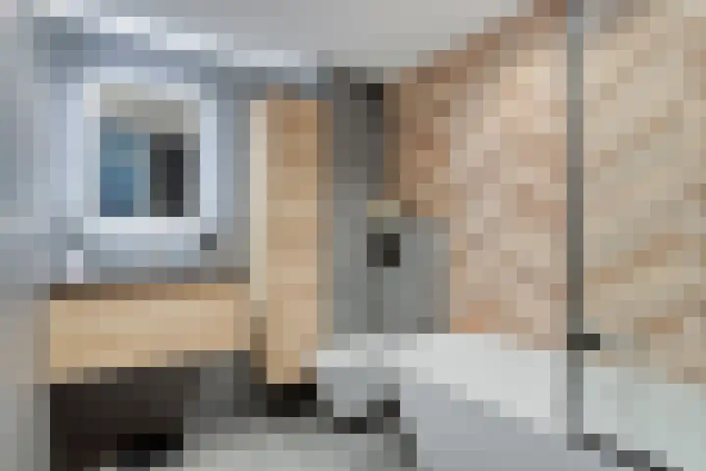 Spoorlaan 82 Leiden thumbnail 27