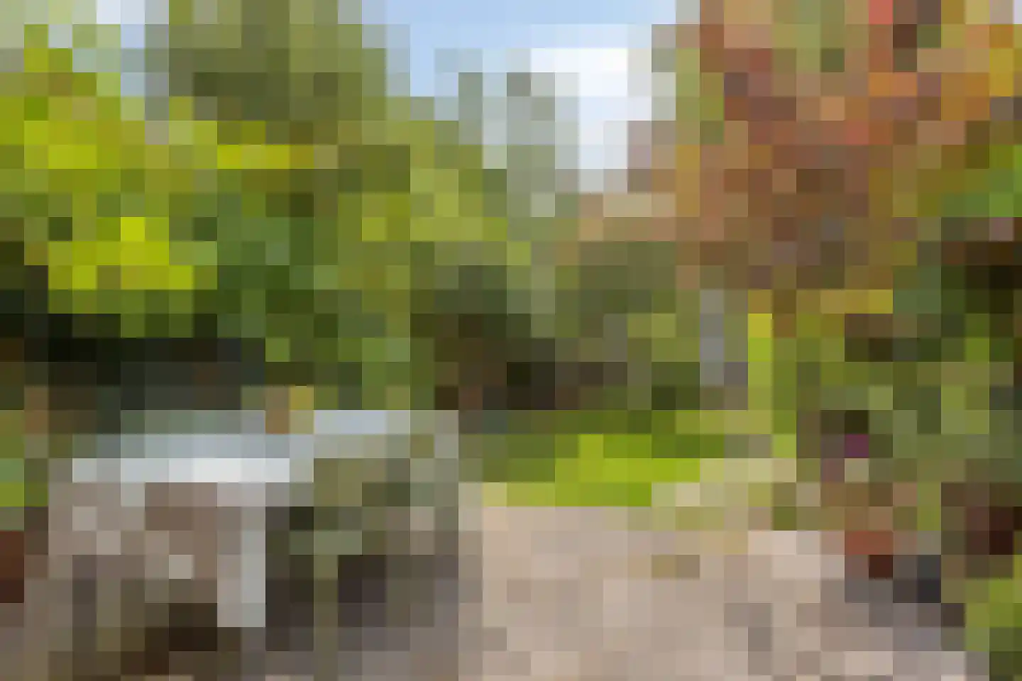 Spoorlaan 82 Leiden thumbnail 35