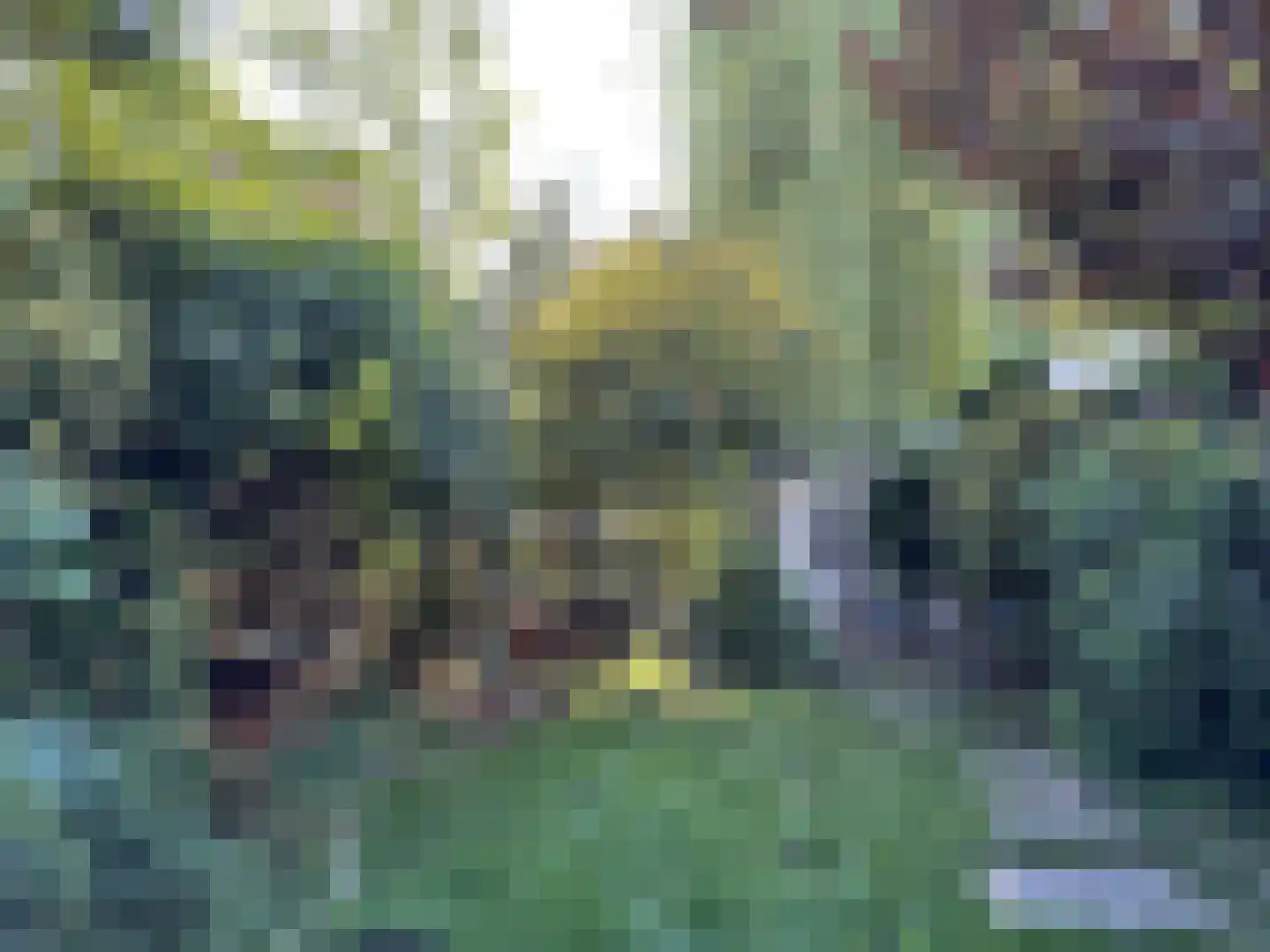 Spoorlaan 82 Leiden thumbnail 36