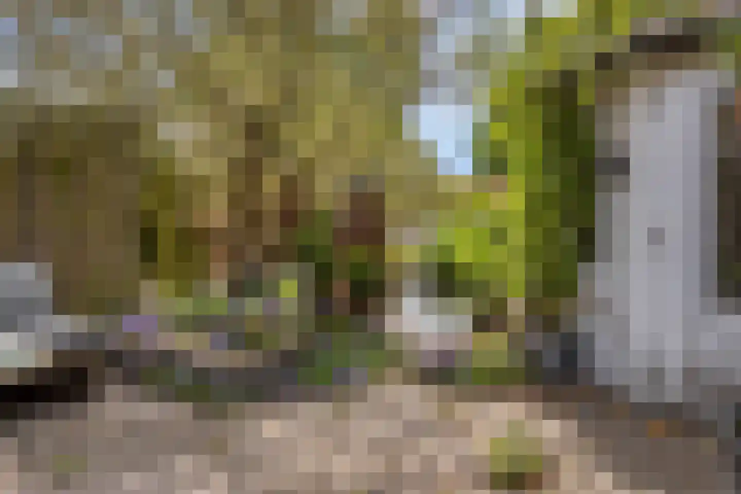 Spoorlaan 82 Leiden thumbnail 38