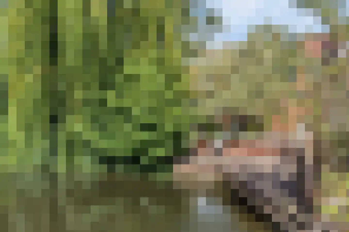 Spoorlaan 82 Leiden thumbnail 42
