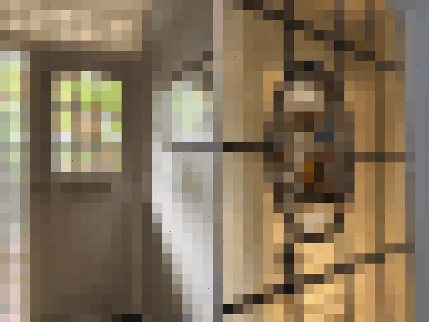 Spoorlaan 82 Leiden thumbnail 6