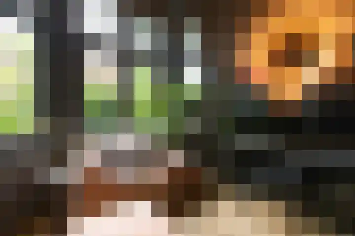 Spoorlaan 9 Bussum thumbnail 12