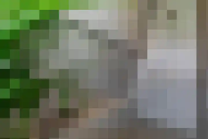 Spoorlaan 9 Bussum thumbnail 23