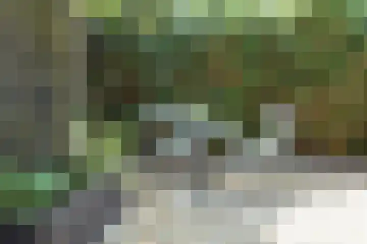 Spoorlaan 9 Bussum thumbnail 30