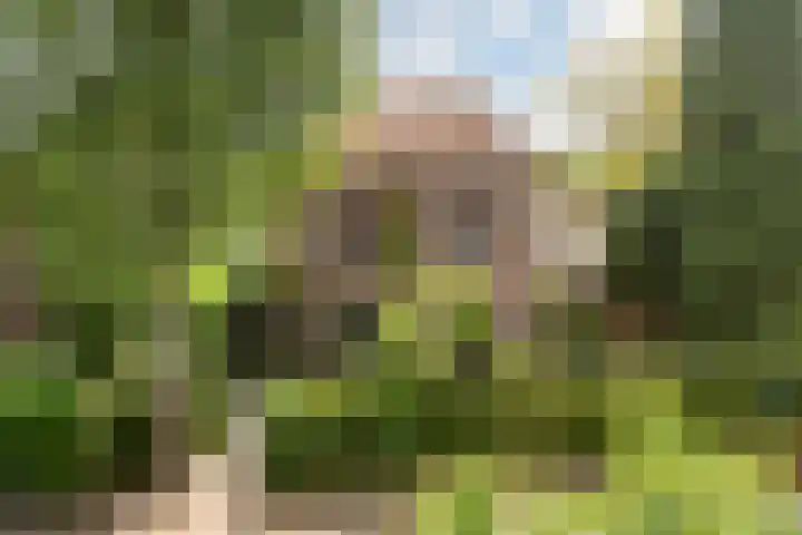 Spoorlaan 9 Bussum thumbnail 36