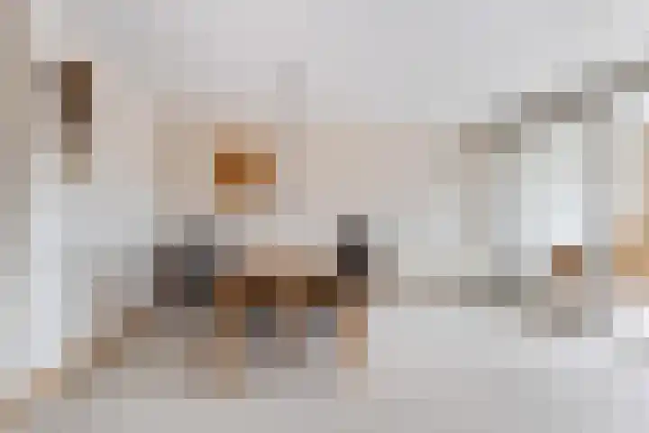 Spoorlaan 9 Woerden thumbnail 17