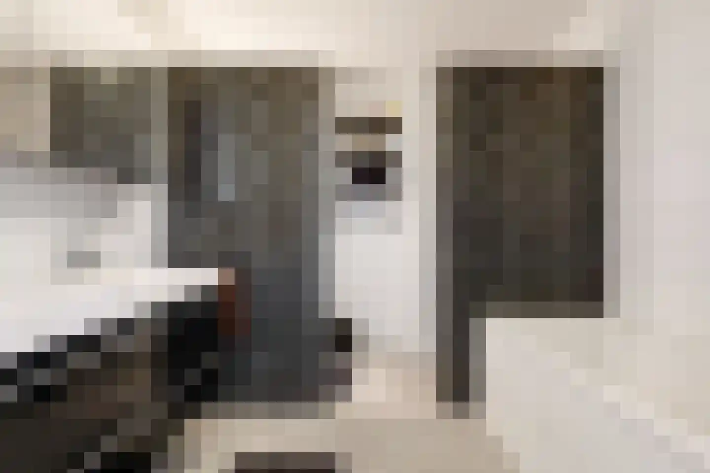 Spoorlaan 91 Abcoude thumbnail 15