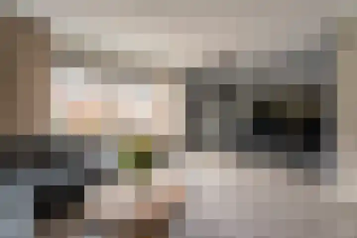 Spoorlaan 95 Voorhout thumbnail 4