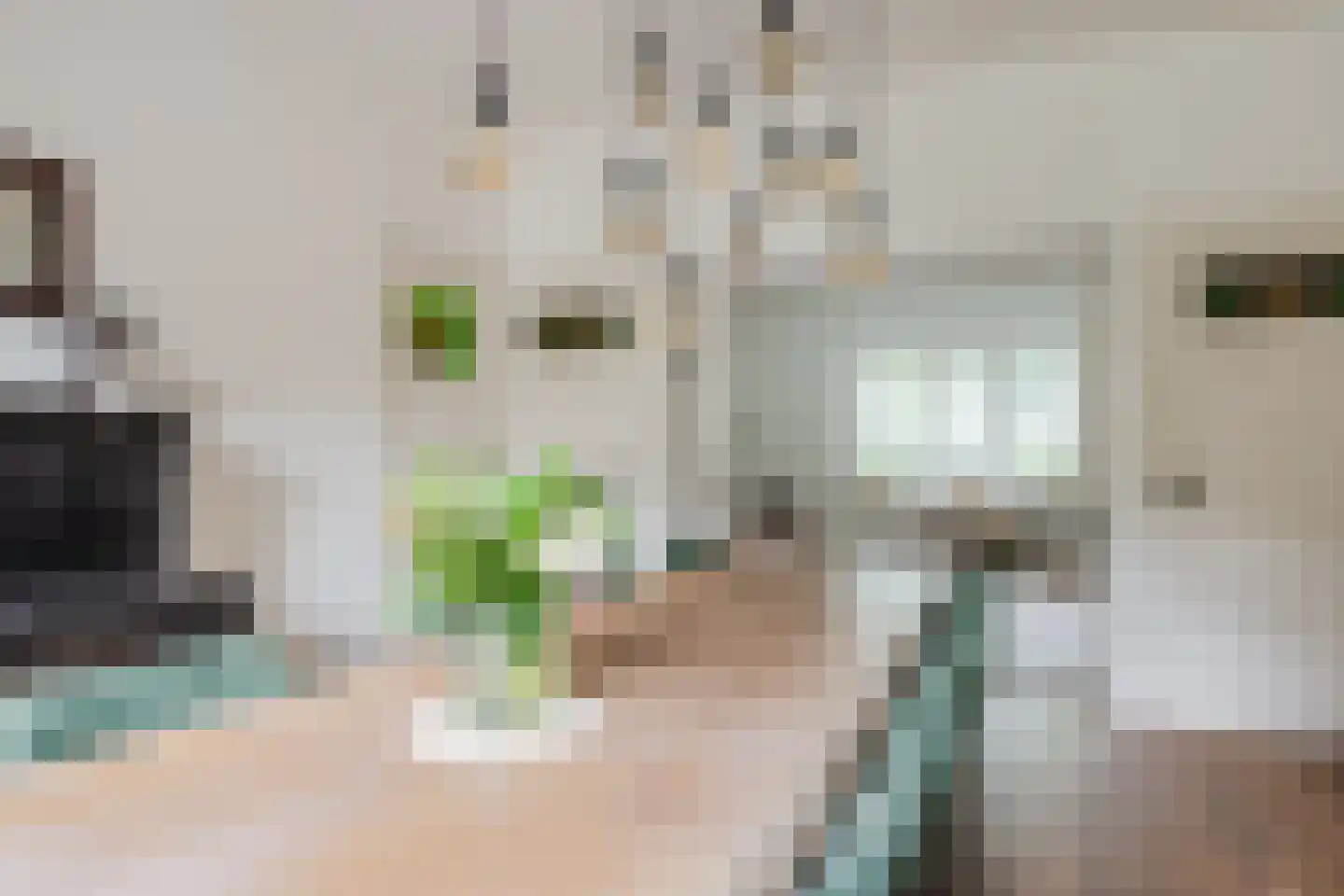 Spoorlaan 96 Tilburg thumbnail 23