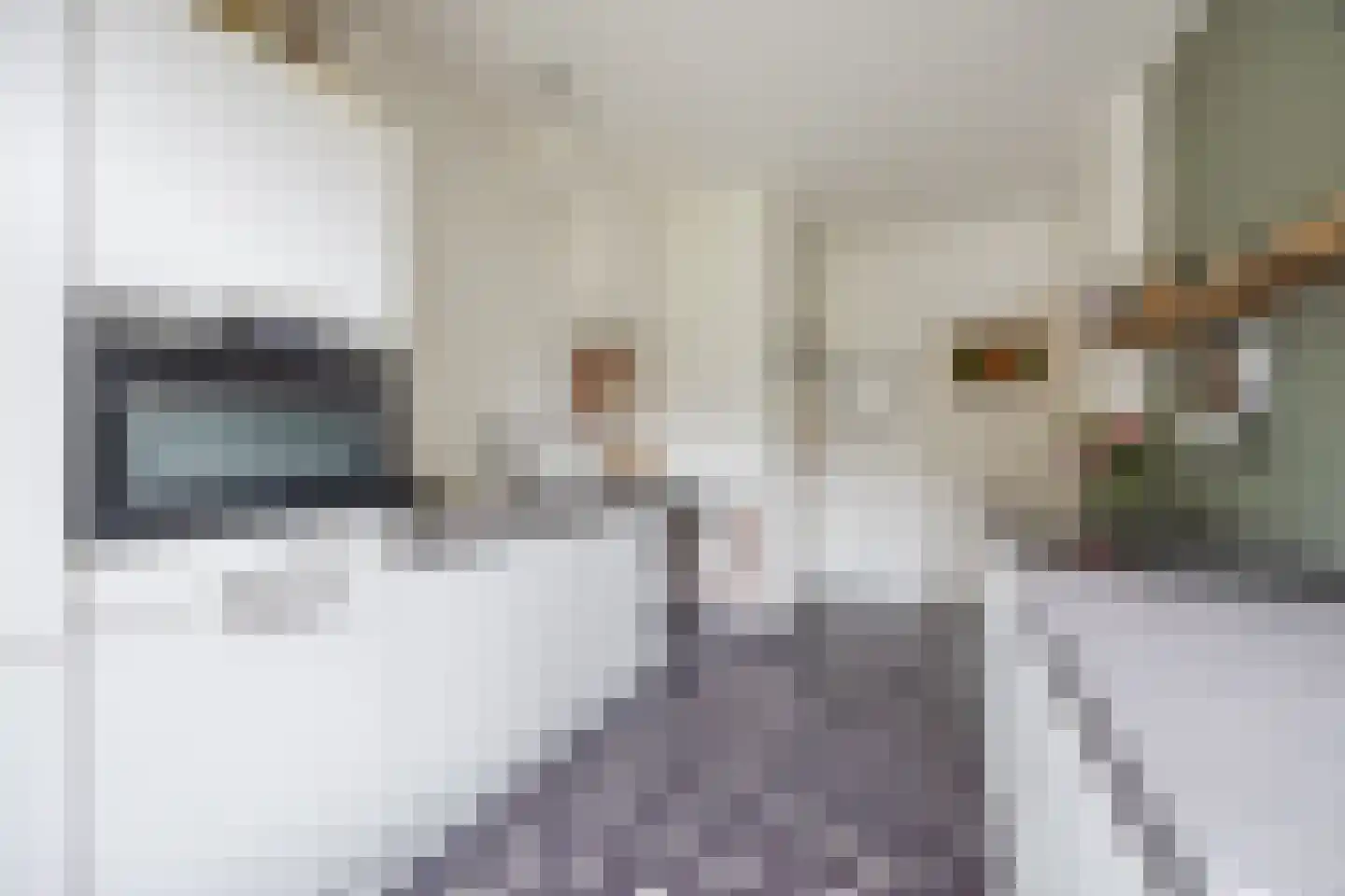 Spoorlaan 96 Tilburg thumbnail 27