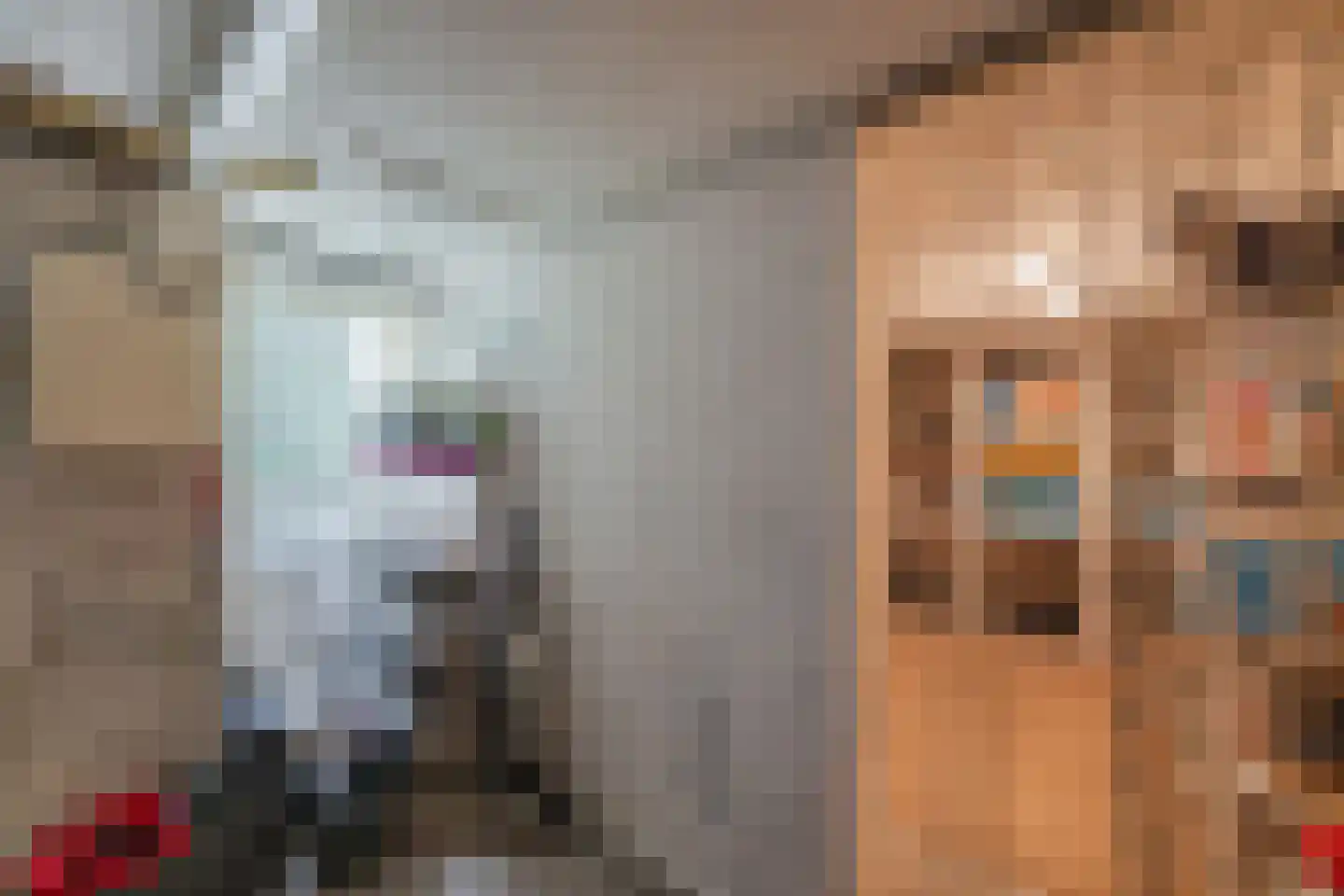 Spoorlaan 96 Tilburg thumbnail 28