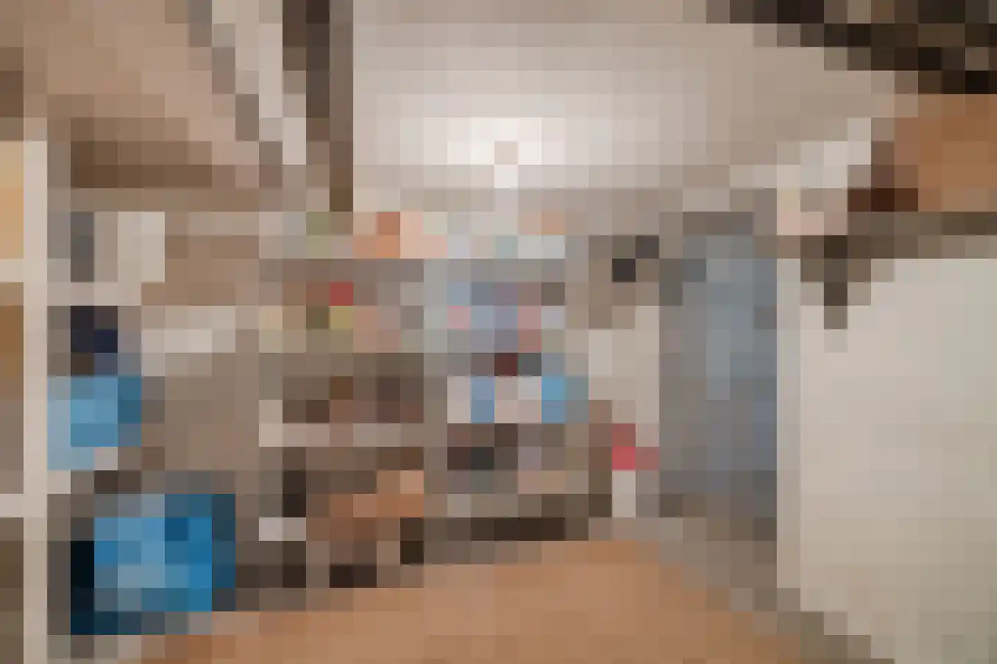 Spoorlaan 96 Tilburg thumbnail 29
