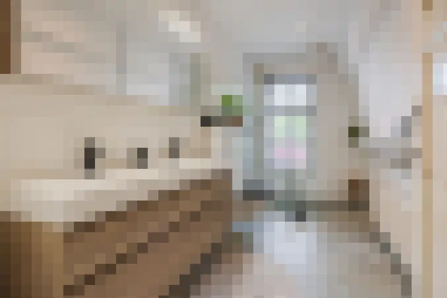 Spoorlaan 96 Tilburg thumbnail 38