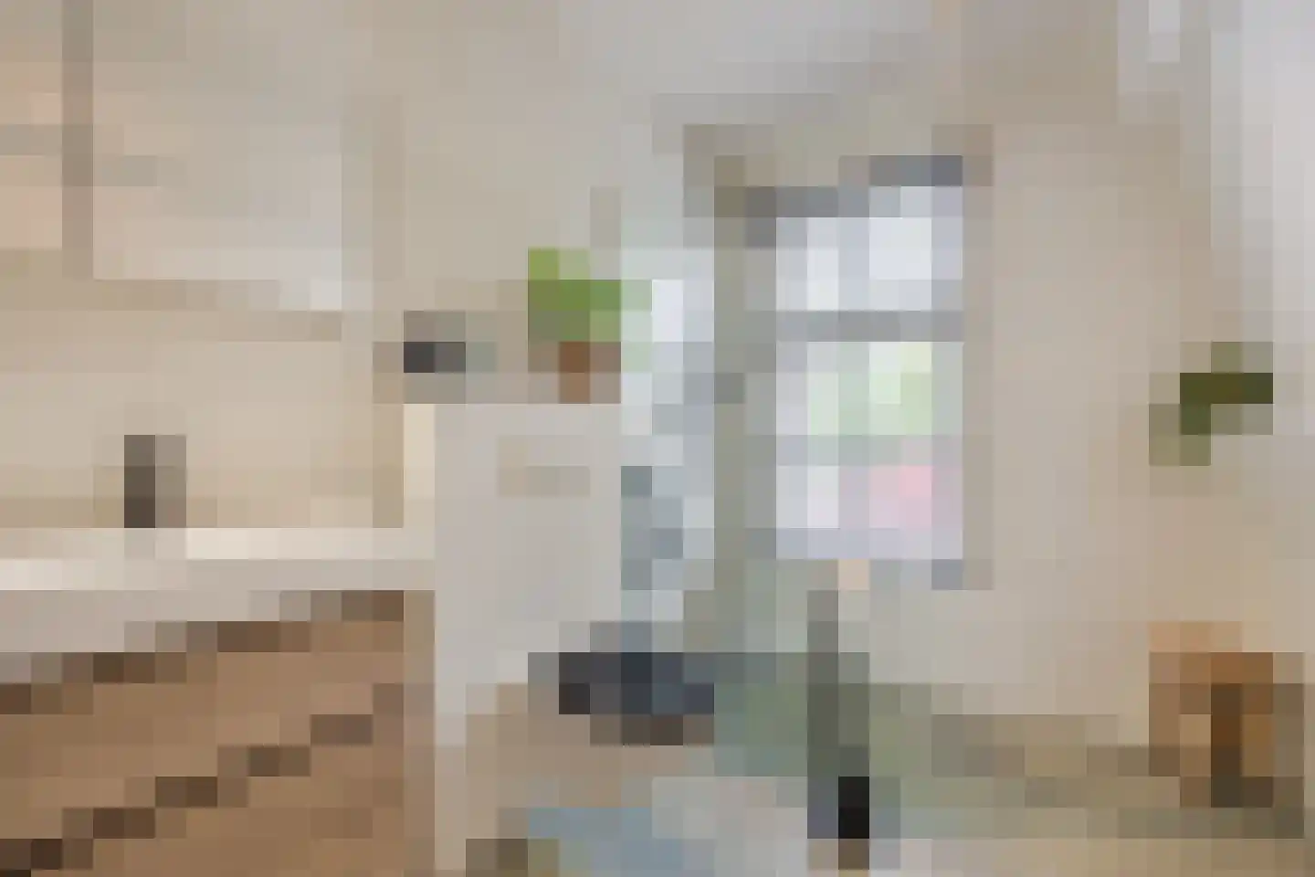 Spoorlaan 96 Tilburg thumbnail 39