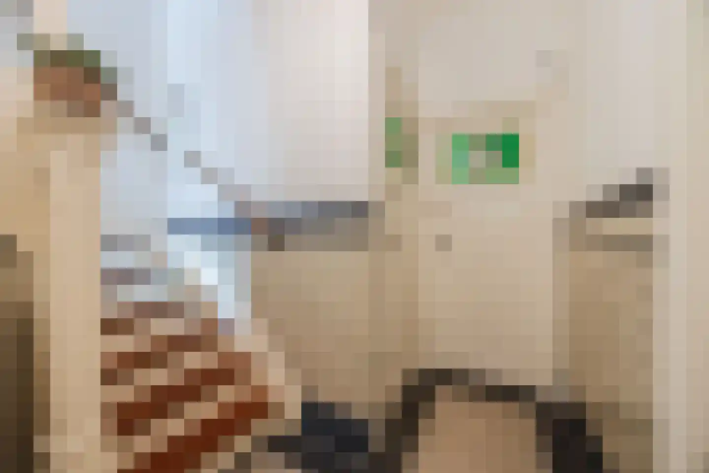Spoorlaan 96 Tilburg thumbnail 4