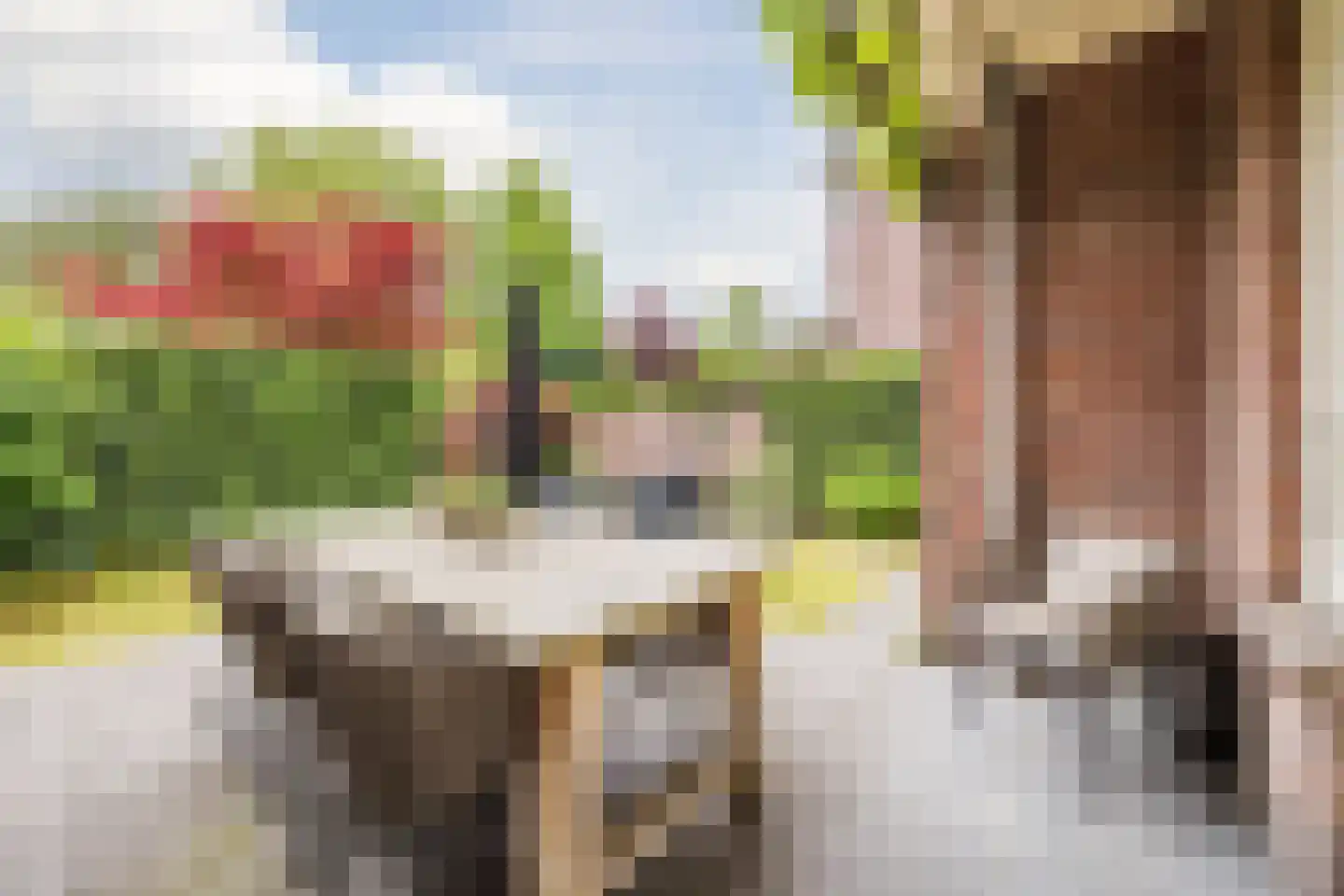 Spoorlaan 96 Tilburg thumbnail 66