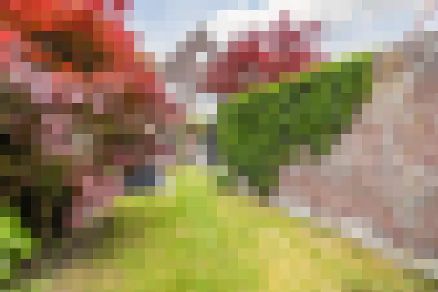 Spoorlaan 96 Tilburg thumbnail 68
