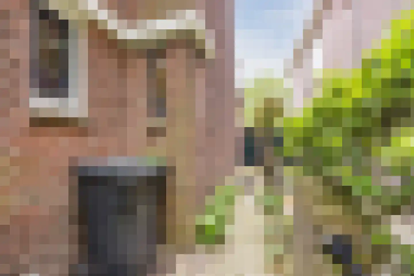 Spoorlaan 96 Tilburg thumbnail 69