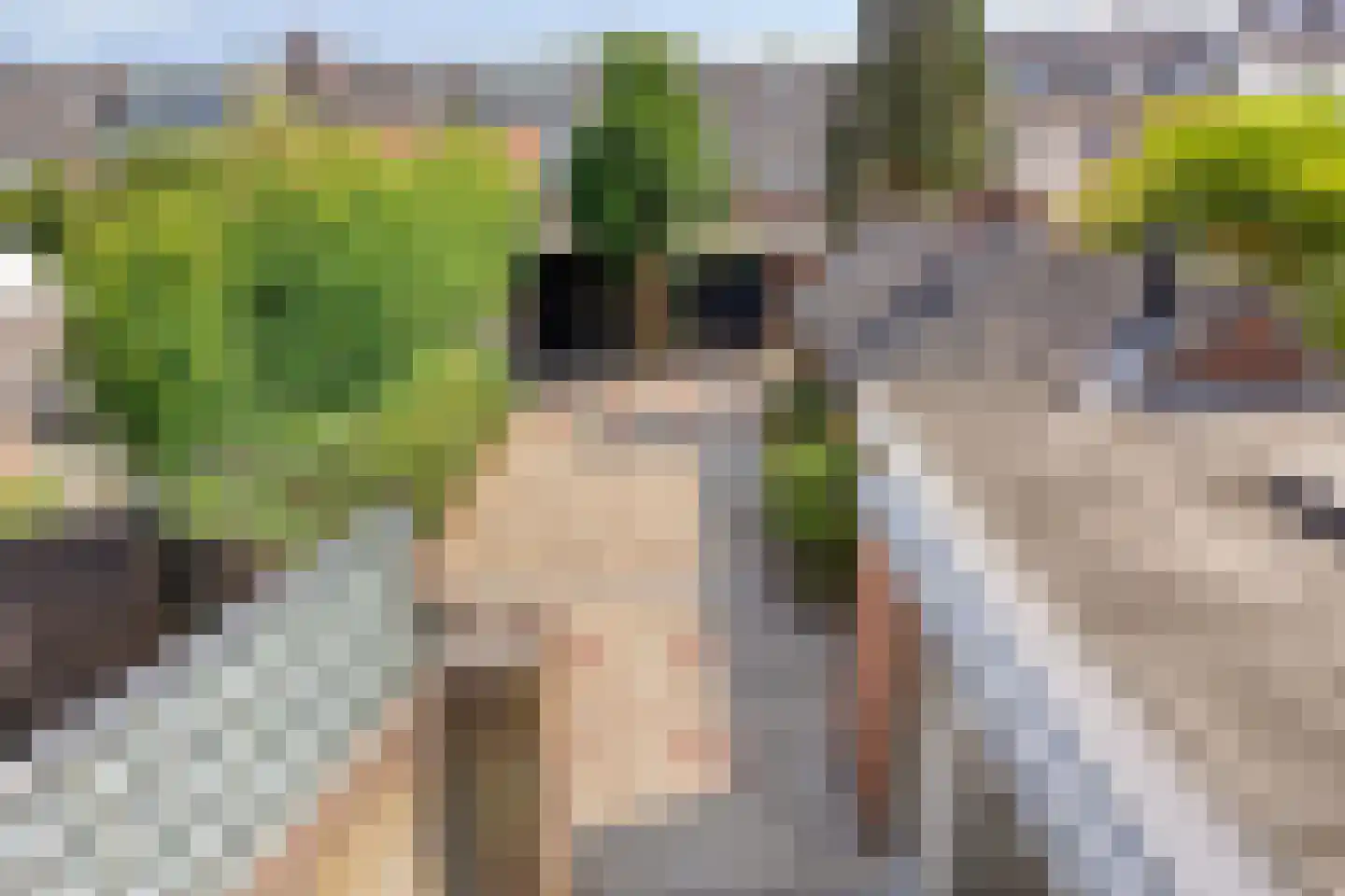 Spoorlaan 98 Oisterwijk thumbnail 21
