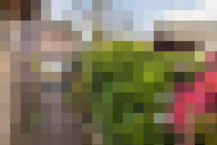Spoorlaan Noord 36 Rijen thumbnail 21