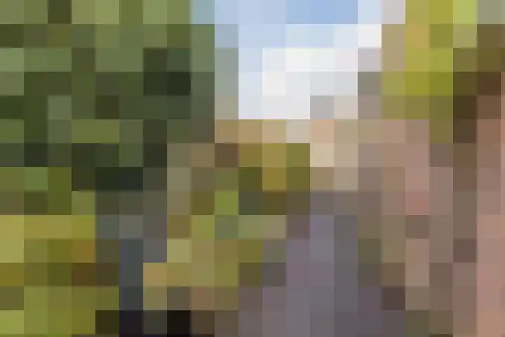 Spoorlaan Noord 36 Rijen thumbnail 25