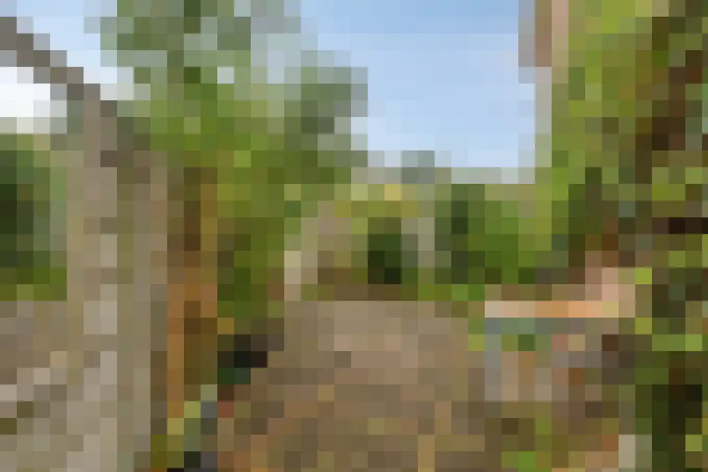 Spoorlaan Noord 46 Rijen thumbnail 18
