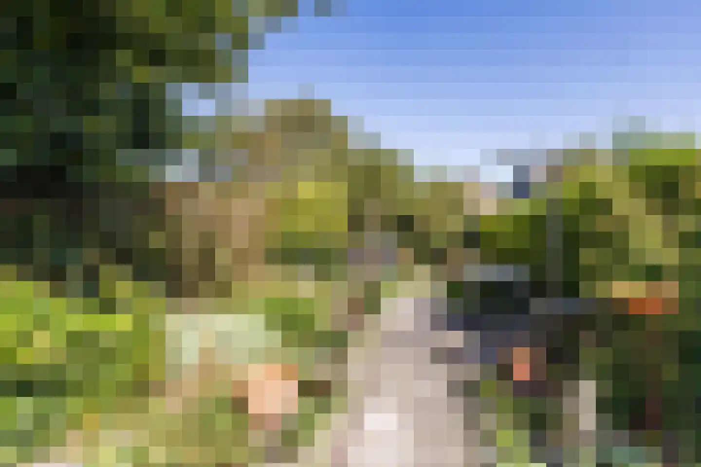 Spoorlaan Noord 54 Rijen thumbnail 4
