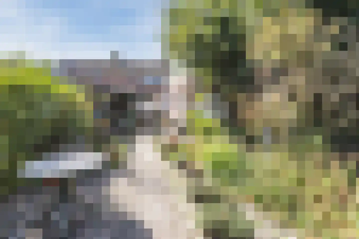 Spoorlaan Noord 54 Rijen thumbnail 8