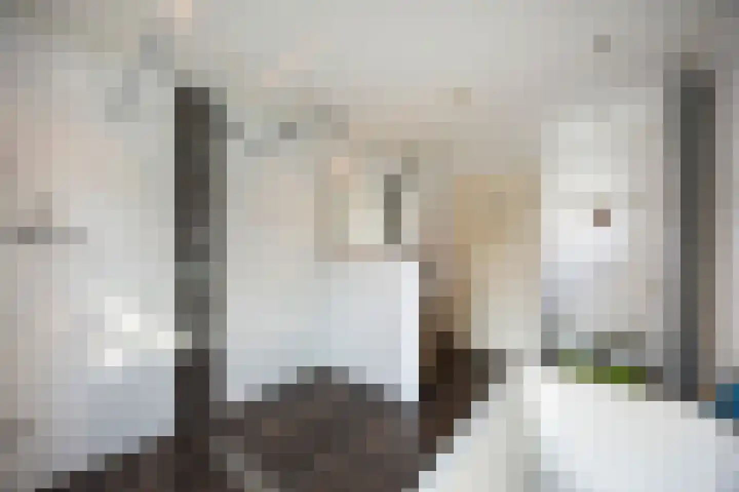 Spoorlaan Zuid 19 A Roermond thumbnail 32