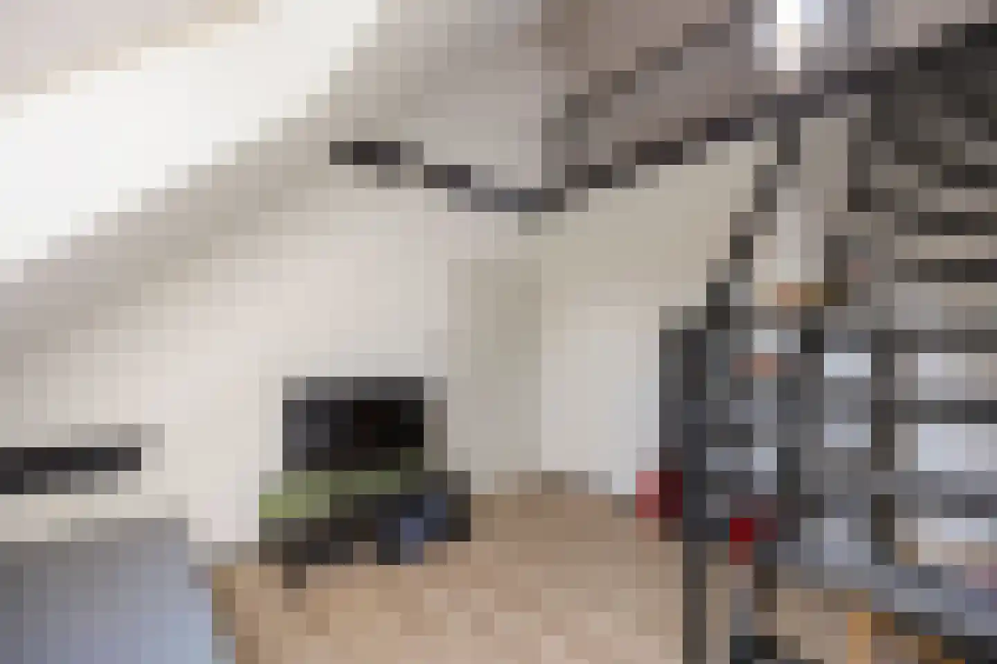 Spoorlaan Zuid 19 A Roermond thumbnail 37