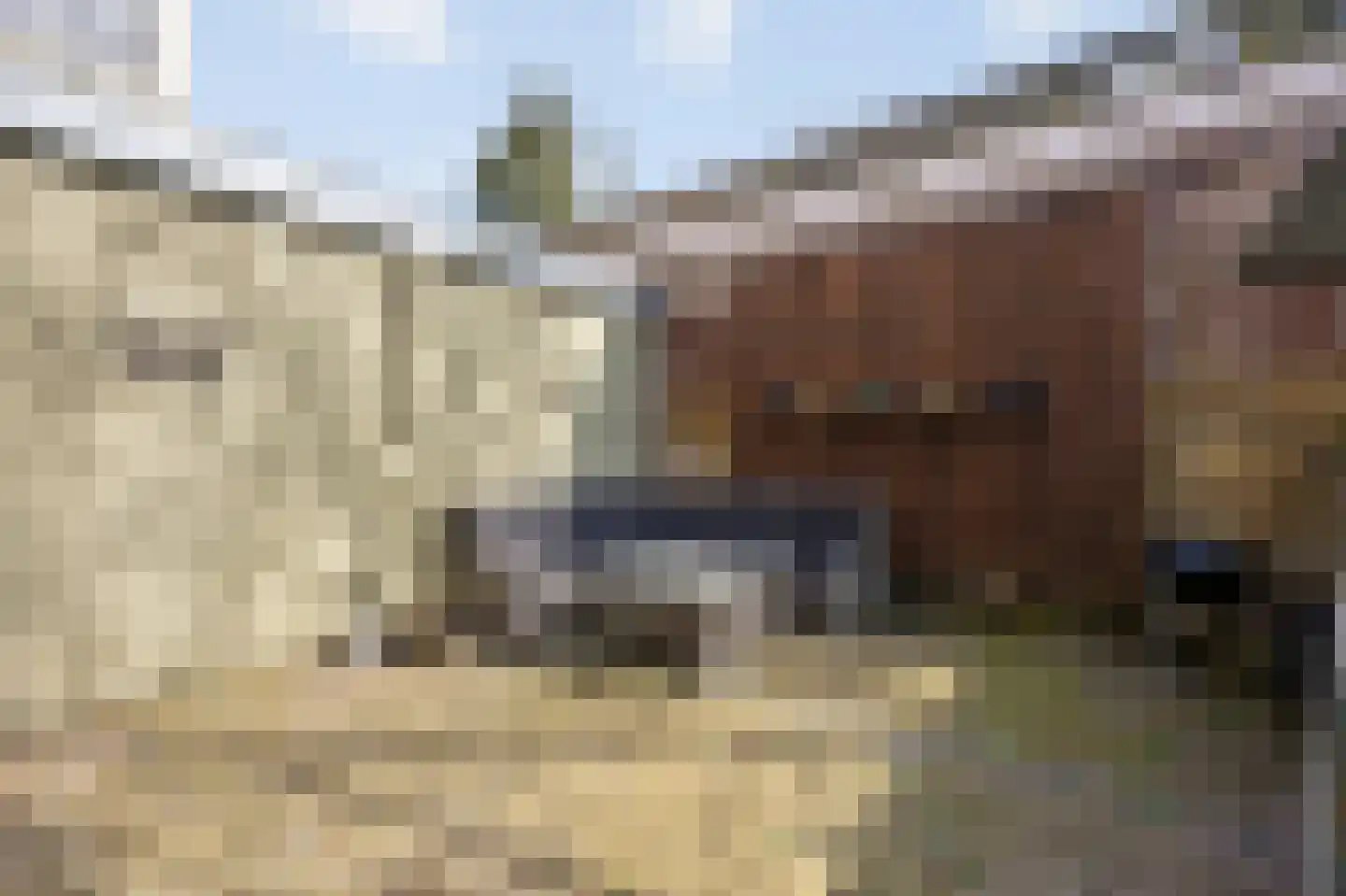 Spoorlaan Zuid 19 A Roermond thumbnail 44