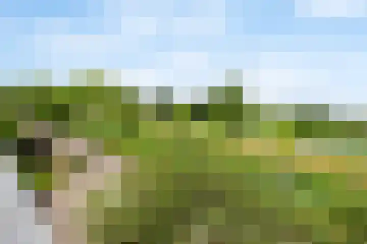 Spoormakerserf 95 Helmond thumbnail 35