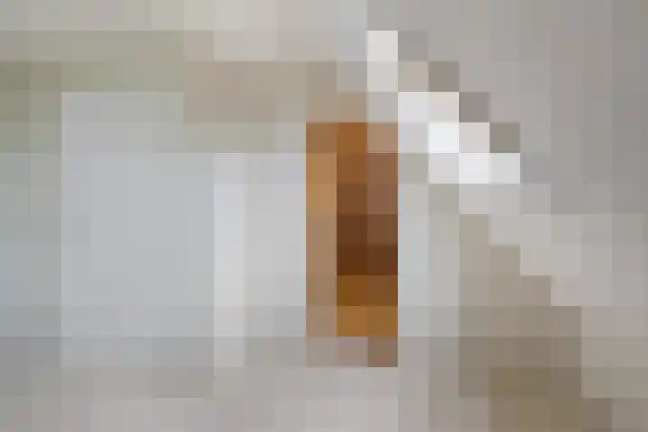Spoormakerserf 95 Helmond thumbnail 37